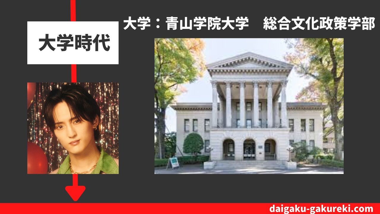 川島如恵留の大学：青山学院大学　総合文化政策学部
